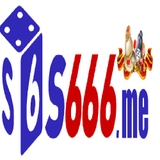 The "s66money" user's logo