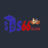 The "Nền tảng S66" user's logo
