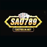 The "saoinnet" user's logo