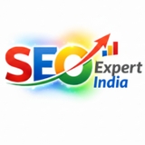 The "seo-india-expert" user's logo