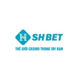 The "shbetingcom" user's logo