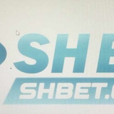 The "shbetorgvn" user's logo