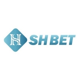 The "shbetsbiz" user's logo