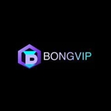The "Nền Tảng BONGVIP" user's logo