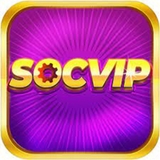 The "socviptech1" user's logo