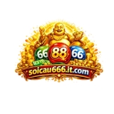 The "soicau666itcom" user's logo