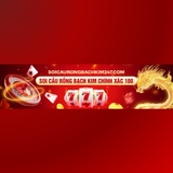 The "Soi Cầu Rồng Bạch Kim" user's logo