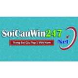 The "Soi cầu 247 - Web soi cầu miễn phí chính xác 100" user's logo