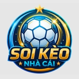 The "soikeonhacaiaeorg" user's logo