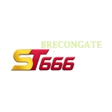 The "ST666" user's logo