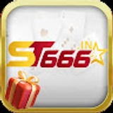 The "st666in" user's logo