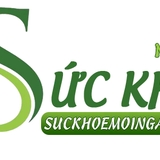 The "SỨC KHỎE MỖI NGÀY ONLINE " user's logo