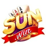 The "SUNWIN TECH" user's logo