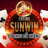 The "Sunwin vision" user's logo