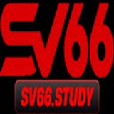 The "Sv66 study" user's logo