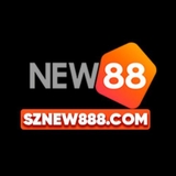 The "New88" user's logo