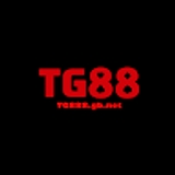 The "Tg888 gb net" user's logo