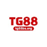 The "TG88bs Org" user's logo