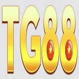 The "tg88iorg" user's logo