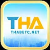 The "Thabetc net" user's logo