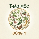 The "Thảo Mộc Đông Y" user's logo