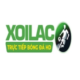 The "festivalforthefuture.co thao túng kết quả" user's logo