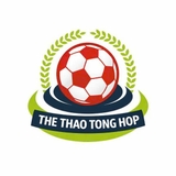 The "thethaowhat" user's logo