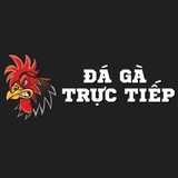 The "Da ga truc tiep" user's logo