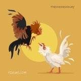 The " ĐÁ GÀ TRỰC TIẾP THOMO HÔM NAY" user's logo