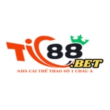The "TIC88" user's logo