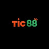 The "TIC88" user's logo