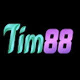 The "tim88info" user's logo