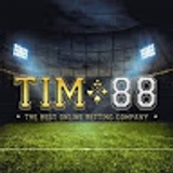The "Tim88 site" user's logo