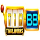 The "TIN88" user's logo