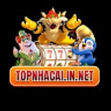 The "Topnhacaiin Net" user's logo