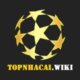 The "topnhacai" user's logo
