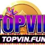 The "Cổng Game Topvin" user's logo
