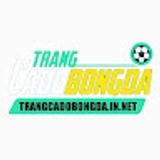 The "TRANGCADOBONGDA IN NET" user's logo