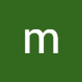 The "travelexbus" user's logo