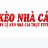 The "tructiepbongdakeonhacai" user's logo