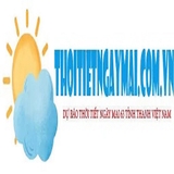 The "ttngaymaii" user's logo