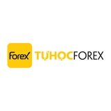 The "Tự Học Forex" user's logo