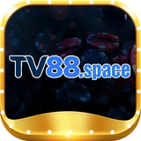 The "Tv88" user's logo