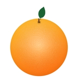 The "UF/IFAS Statewide Citrus Research and Extension" user's logo