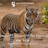 The "Untamedpaws" user's logo
