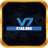 The "v7agorg" user's logo