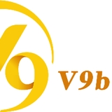 The "V9bet Casino" user's logo