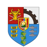 The "Vasluiul în Comunism" user's logo