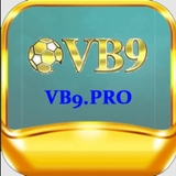The "VB9 Pro" user's logo