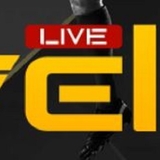 The "VELLKI" user's logo